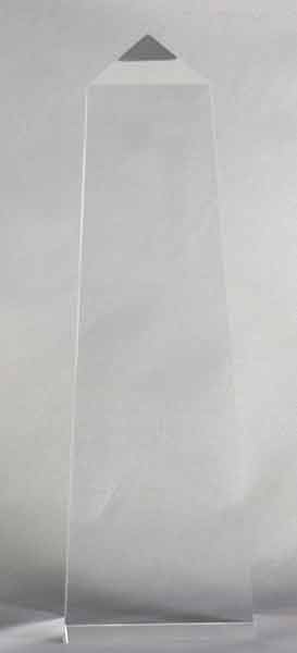 正面からの画像